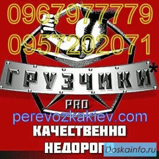 Киев, услуги грузчиков, грузчики Киев недорого, бригада срочно.