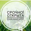 Работа на дому и интернете