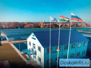 Продается аграрный комплекс с теплицами в 63 км от Москвы