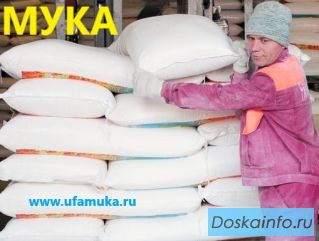 Мука