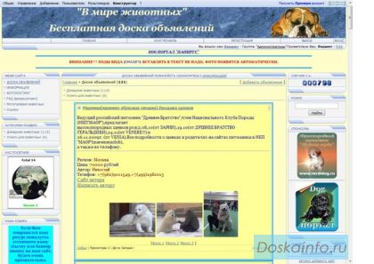 В мире животных