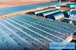Продается тепличное хозяйство в Калужской области