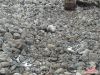 Бой бетона купить