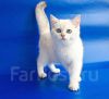Уменьшенная картинка