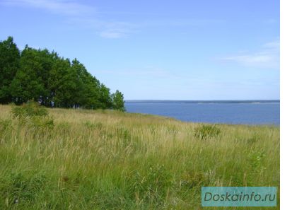 Продам земельный участок на 1-ой линии берега р.ВОЛГИ С/Х назначения 110,5 га