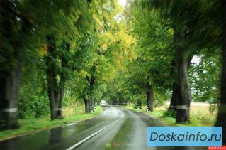Продаю земельный участок в коттеджном поселке Калининградской области