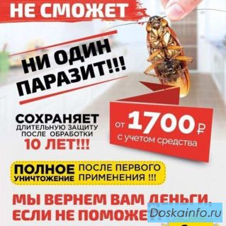 Уничтожение тараканов,насекомых и грызунов
