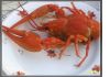 Продам раки варено-мороженые, речные раки в Перми