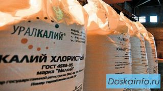 Куплю сода кальцинированная, калий хлористый белый мелкий, карбамид и другое по РФ