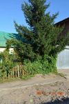 Уменьшенная картинка