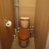 Трезвый сантехник в чистых носках