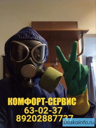 Дeзинфeкция, yничтoжeниe клoпoв, тapaкaнoв, блox