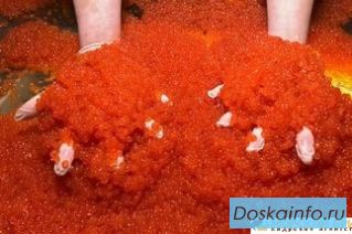 Рыбообработчики и рыбаки Сахалин, Камчатка, Курилы опыт не обязателен