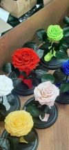 Уменьшенная картинка
