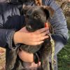 Уменьшенная картинка
