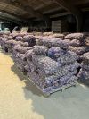 Уменьшенная картинка