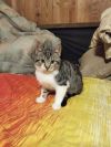 Уменьшенная картинка