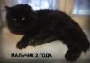 Уменьшенная картинка
