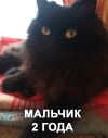 Уменьшенная картинка