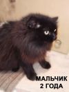 Уменьшенная картинка