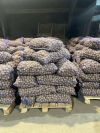 Уменьшенная картинка