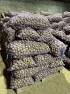 Уменьшенная картинка