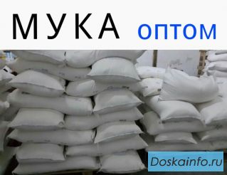 Мука оптом