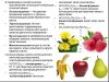 Уменьшенная картинка