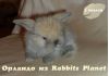 Уменьшенная картинка