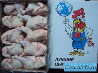 Цыплята, бройлерный по 1,5 кг. Высшего качества, опт от 40 т.