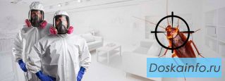 Обработка от клопов и остальных насекомых в Москве и Московской области
