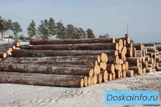 Куплю лес в круглом виде.