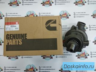 Водяной насос Cummins 3800737 (2882144, 4955705, 3803403, 3803260)