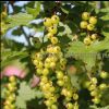 Уменьшенная картинка