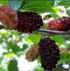 Уменьшенная картинка