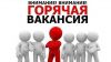 Менеджер по работе с корпоративными клиентами, удаленно