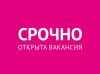 Cрочно требуется администратор бьюти-чaтa удалённо