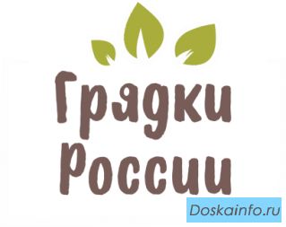 Интернет-магазин оцинкованных грядок «Грядки в порядке»