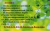 Уменьшенная картинка