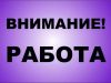 Требуется копирайтер на удалённую работу