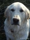 Уменьшенная картинка