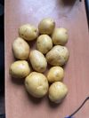 Уменьшенная картинка