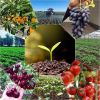 Уменьшенная картинка