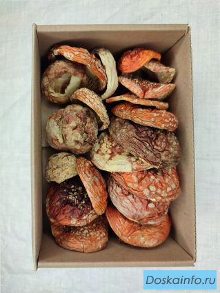 Продажа целебных грибов и трав