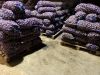 Уменьшенная картинка