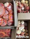 Уменьшенная картинка
