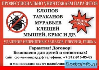 Уничтожение клопов, тараканов, клещей, кротов, короеда, муравьёв