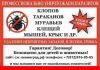 Уничтожение клопов, тараканов, клещей, кротов, короеда, муравьёв