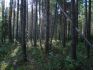 Уменьшенная картинка