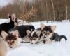 Уменьшенная картинка